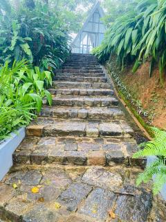 Rain Drops Wellness Villa - 1