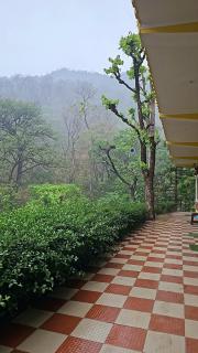 Tapovan Cascades Yogvillage Stay - 1