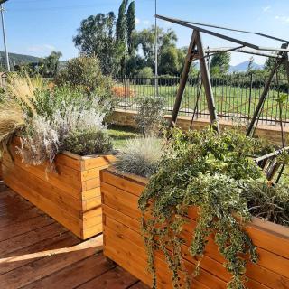 La casa sul lago dorato - 4