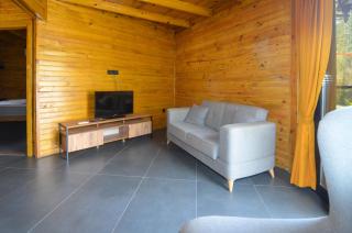 Exclusive Villa with Pool, Breakfast & Dinner inclusive - 1