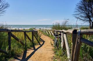 Bright and cosy apartment in Lido dei Pini - 3