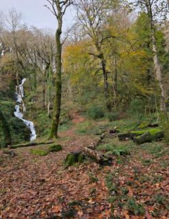 'By The Stream' 60 The Beeches - 4