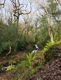 'By The Stream' 60 The Beeches - 1