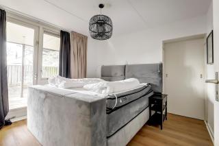 Ostrea 74 Kamperland - 1