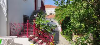 Epavli Sofia' s two Apartments in Horto, 30m from the sea - 3