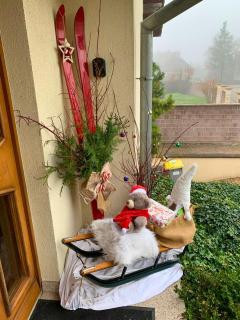 HAVRE DE PAIX - Maison 3 étoiles - Piscine Privée - Europapark - 4