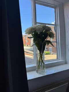 Vesna Affordable comfort - 1