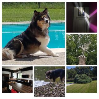 Le Repaire de l'Aigle - 6