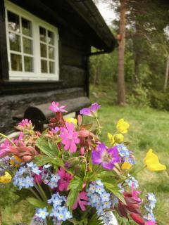 Modern Log Cabin By Hardangervidda - 5