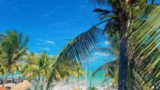 Casabeiramaritamaracá - 0