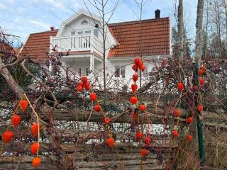 DR ÅSA Bed n Breakfast by the Forest w Swimming Pool near Golf, Concerts and the Baltic Sea Beach - 3