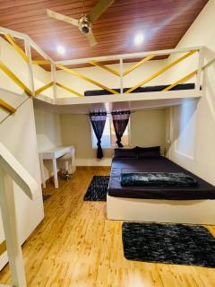 Dormyy backpackers castle - 4