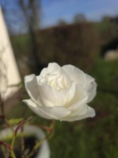 Le cocon du Bassigny - 0