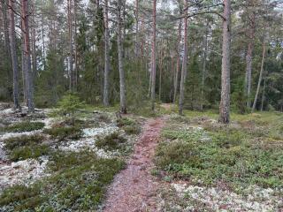 DR ÅSA Bed n Breakfast by the Forest w Swimming Pool near Golf, Concerts and the Baltic Sea Beach - 2