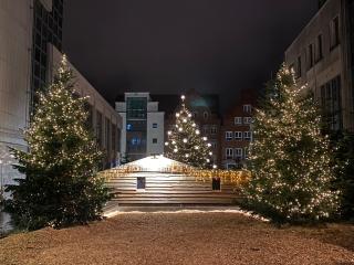 Ferienwohnung Heimathafen - 7