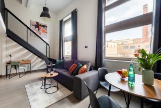 Spacious loft-aparts near the Karlin - 9