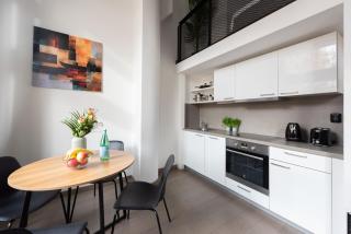Spacious loft-aparts near the Karlin - 1