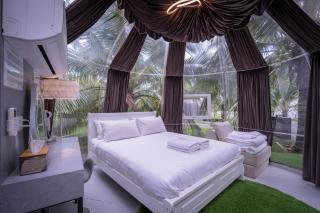The Coco Journey - Eco Dome - Malacca - 1