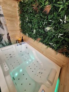 Chalet with private Balneo Spa - 8