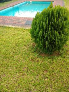 Real Favour Suites Guest House - 3