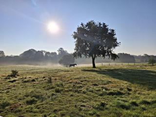 Monteurwohung an der A21 - 1