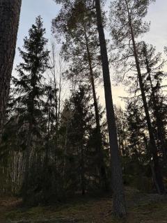 DR ÅSA Bed n Breakfast by the Forest w Swimming Pool near Golf, Concerts and the Baltic Sea Beach - 7