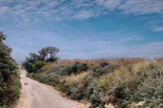 Lovely Studio with Patio and Garden - 1