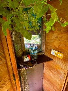 Skyp Lake jungle - 1