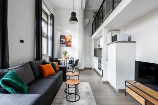 Spacious loft-aparts near the Karlin - 2