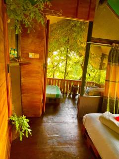 Skyp Lake jungle - 2