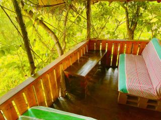 Skyp Lake jungle - 1