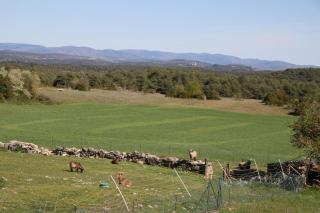 La Maison du Berger - 2