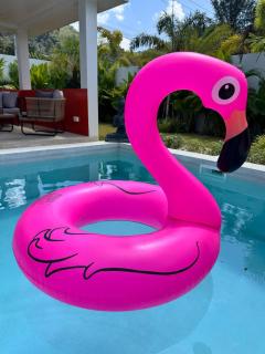 Villa Freedom Pool Billiard Haven 3BR - 3