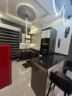 A well furnished 2 bedroom apartment in AREPO, close to Ikeja - 6