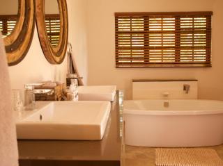 Savannah International - 8