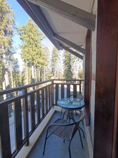 Green Line Studio Appartment Pamporovo - 2