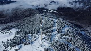 Green Line Studio Appartment Pamporovo - 1