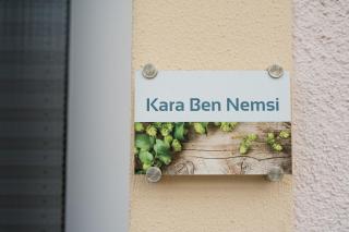 Kara Ben Nemsi - 9