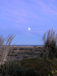 Chirla Valle de La Luna - 1
