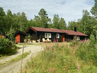 Modern Log Cabin By Hardangervidda - 0