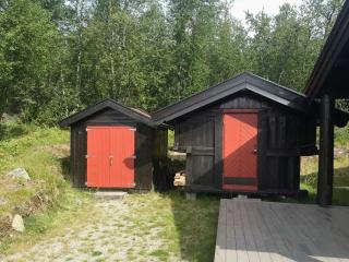 Modern Log Cabin By Hardangervidda - 1