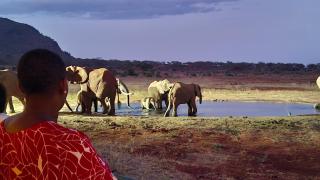 Kristina Gardens - 8