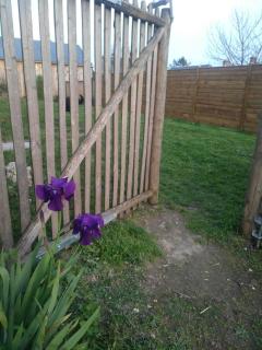 Nice cottage in a village Loire Valley - 9