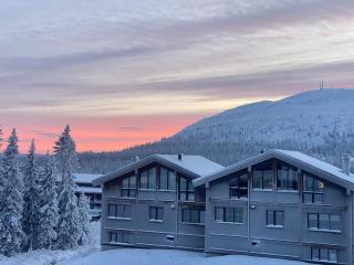 Luxury Skilodge ski in & out - 9