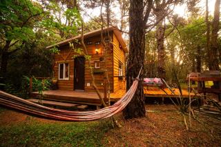 Pinocha del Bosque Valle de La Luna - 0