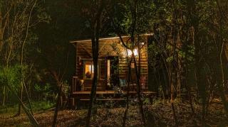 Pinocha del Bosque Valle de La Luna - 8