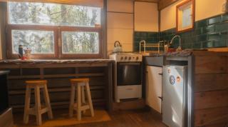 Pinocha del Bosque Valle de La Luna - 7