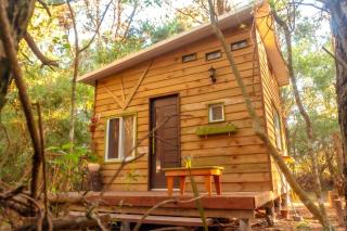 Pinocha del Bosque Valle de La Luna - 6