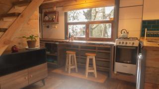 Pinocha del Bosque Valle de La Luna - 5