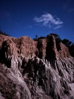 Pinocha del Bosque Valle de La Luna - 3